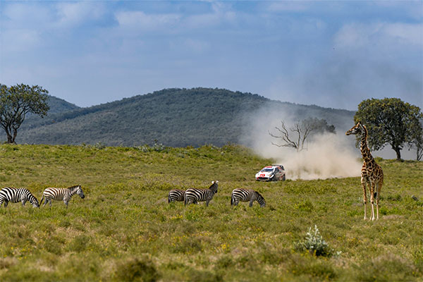 WRC 2021年 第6戦 サファリ・ラリー・ケニア フォト&ムービー DAY2